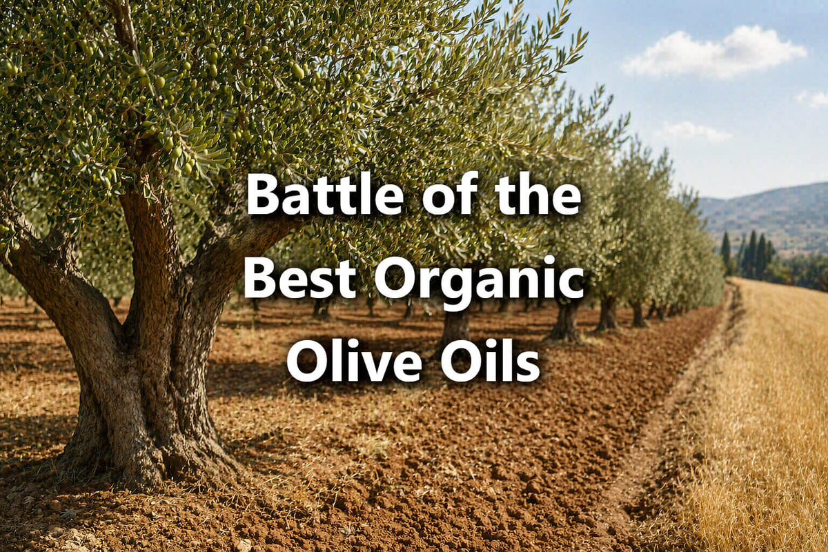 Battle of the Best Organic Olive Oils