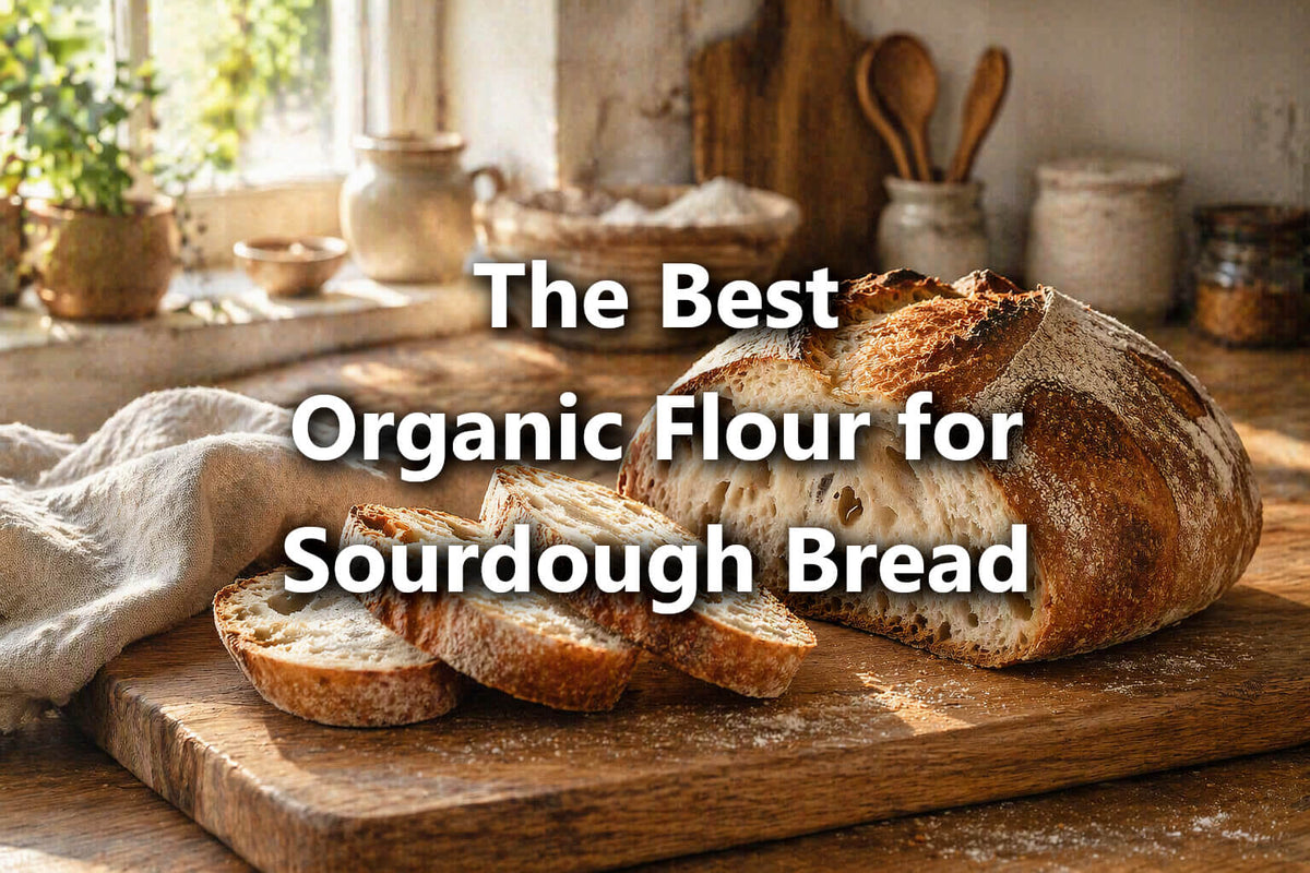 The Best Organic Flour for Sourdough Bread