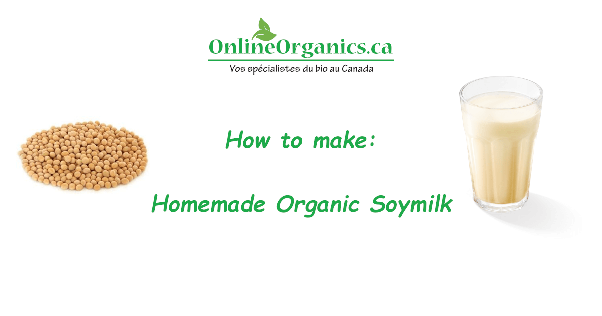 Homemade Organic Soymilk