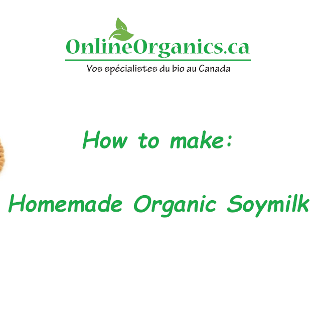Homemade Organic Soymilk
