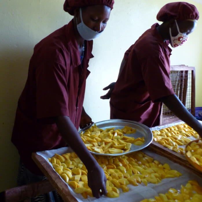  Organic Dried Sliced Mangoes "Brooks" (Certified Fairtrade)