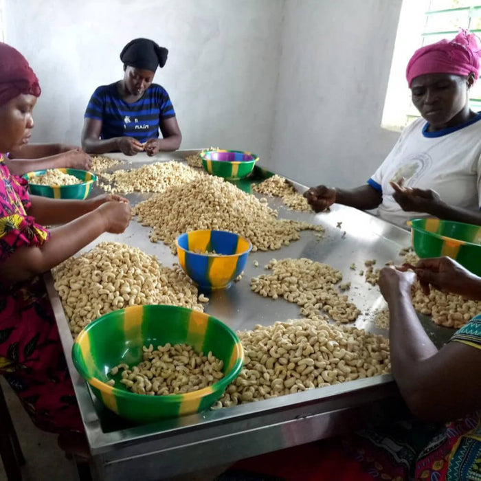 Organic Raw Cashew Pieces (SWP) (Certified Fairtrade)