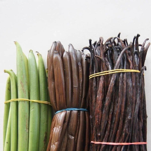 Organic Vanilla Pods (Certified Fairtrade)