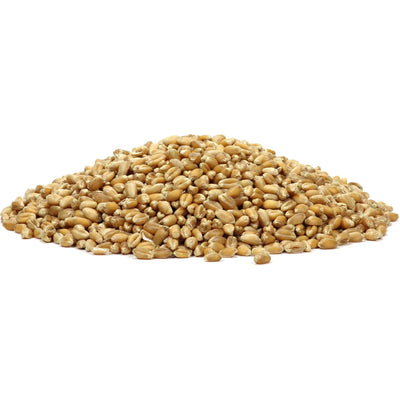 Organic Wheat Berries "Soft White Wheat"