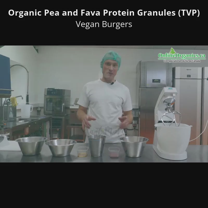 Recipe for Organic Vegan Burgers