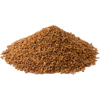 Organic Alfalfa Seeds