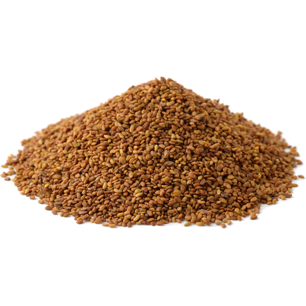 Organic Alfalfa Seeds