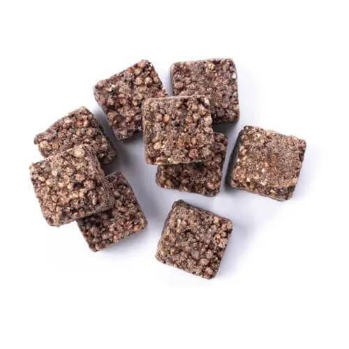 Organic Chocolate Bites (Chia, Quinoa & Maca)
