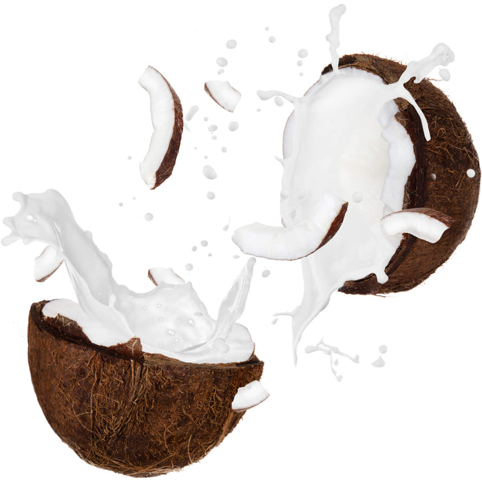 Organic Coconut Milk 18%