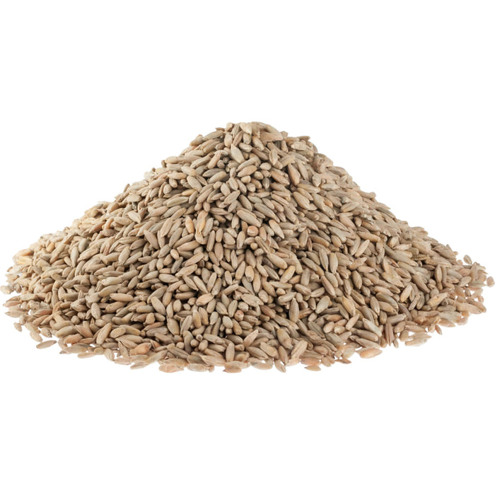 Organic Fall Rye