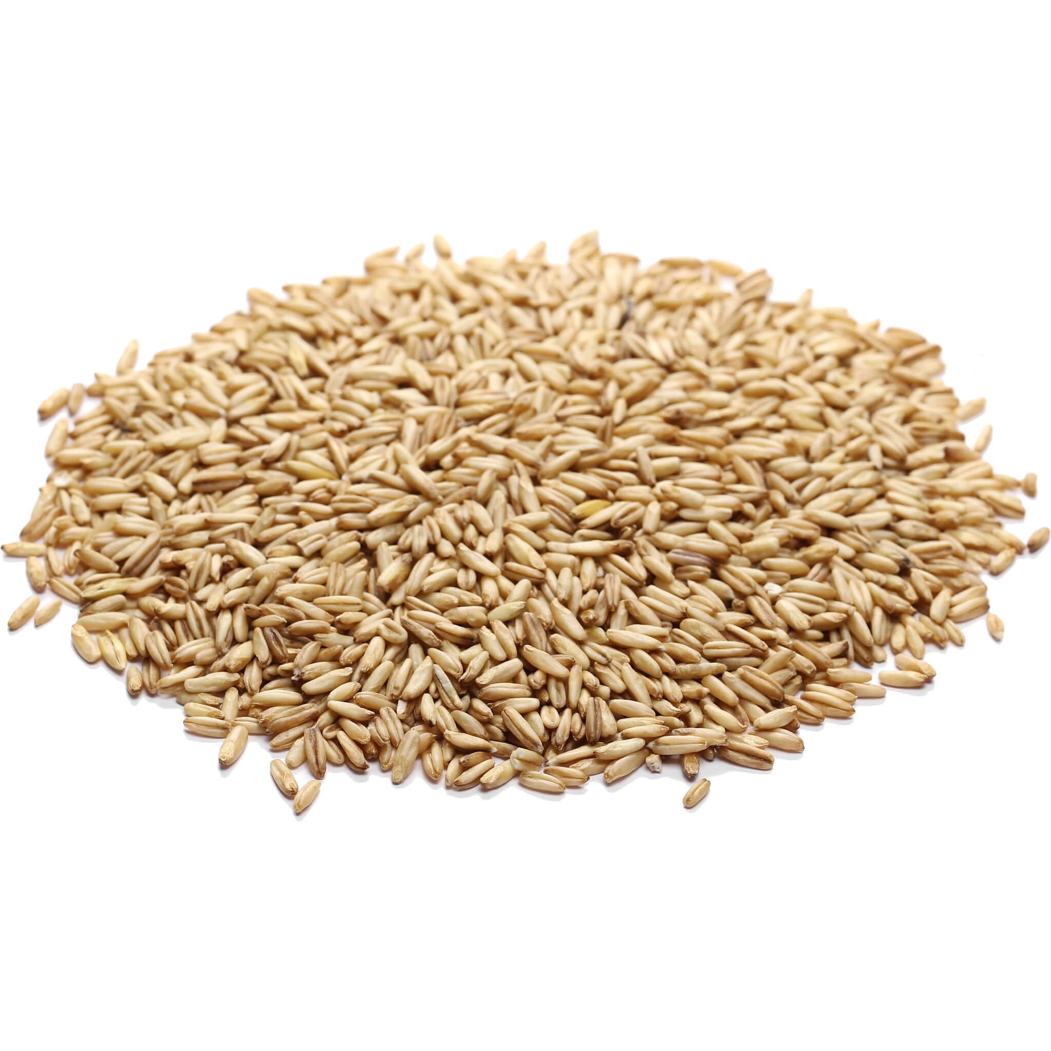 Organic Hulless Oats (Naked) — OnlineOrganics