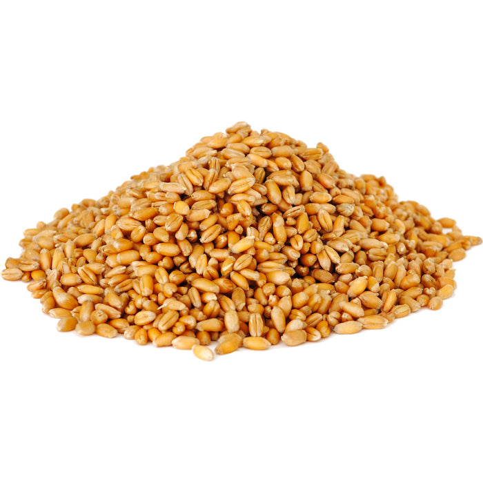 Organic Wheat Berries (Hard)
