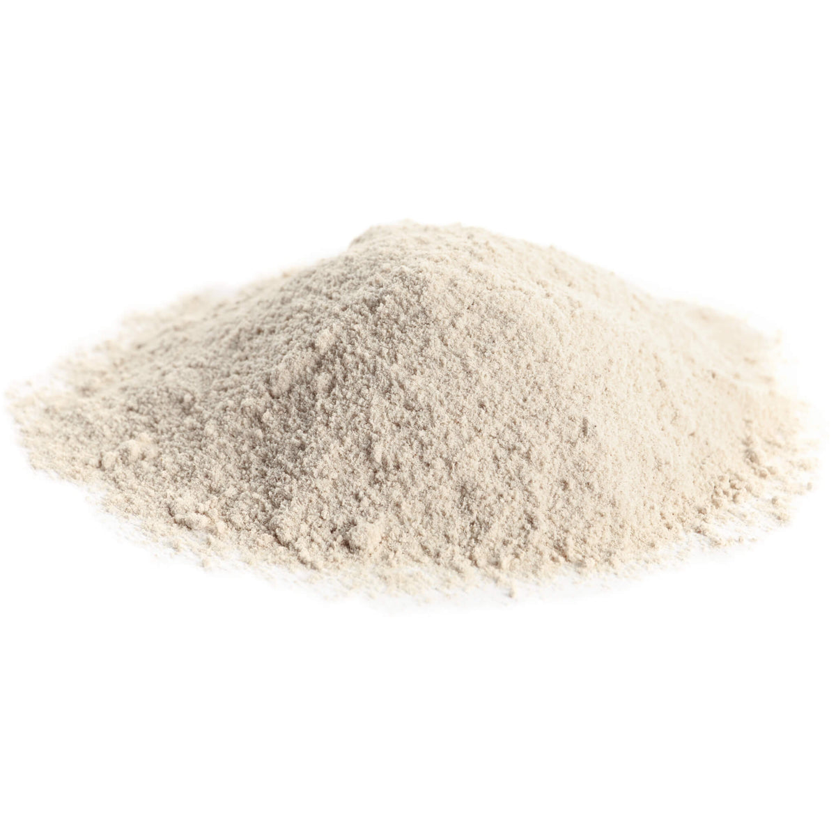 Organic Whole Wheat ''Durum'' Flour (Lacoste) —