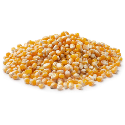 Organic Yellow Popcorn